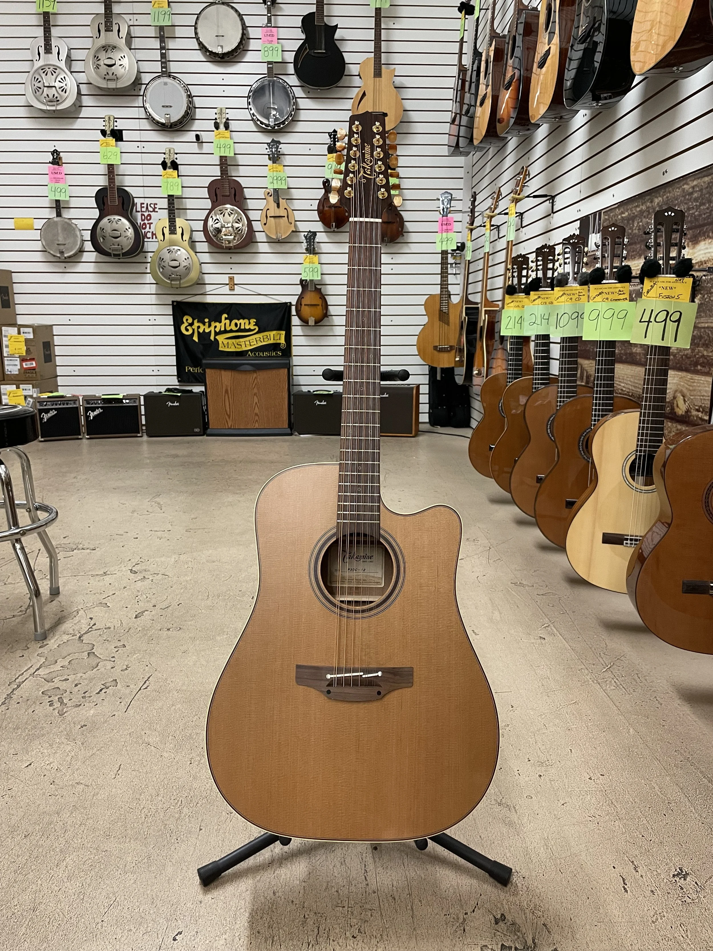 Takamine Acoustic Guitars — Bizarre Guitar